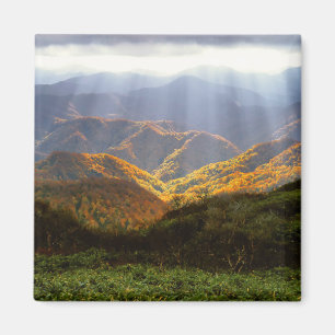 Zonnestralen boven het Shirakami-Sanchi-gebergte Magneet