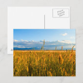 Zonnestralen boven tarweveld met bergen briefkaart (Voorkant / Achterkant)