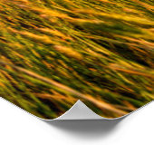 Zonnestralen boven tarweveld met bergen poster (Hoek)