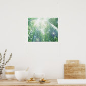Zonnestralen door bamboe poster (Keuken)