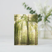 zonnestralen door bomen briefkaart (Staand voorkant)
