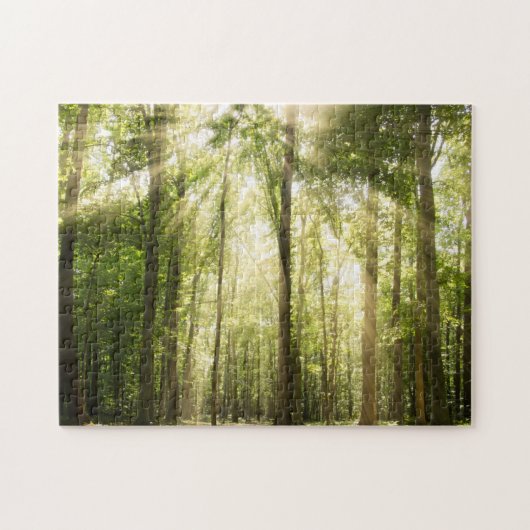 zonnestralen door bomen legpuzzel (Horizontaal)