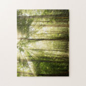 zonnestralen door bomen legpuzzel (Verticaal)