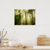 zonnestralen door bomen poster (Keuken)