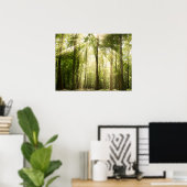 zonnestralen door bomen poster (Thuiskantoor)