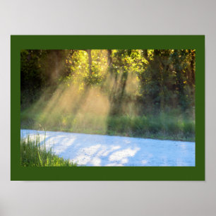 Zonnestralen door de Bomen Poster