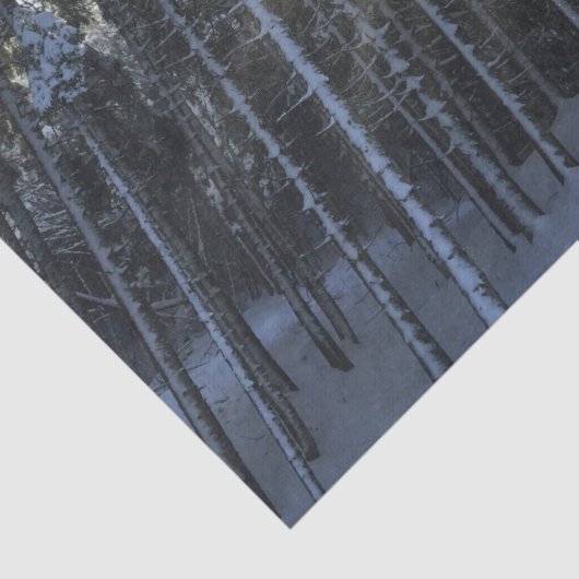 Zonnestralen door wintersneeuwbos tissuepapier (Detail)