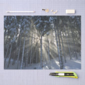 Zonnestralen door wintersneeuwbos tissuepapier (Craft)