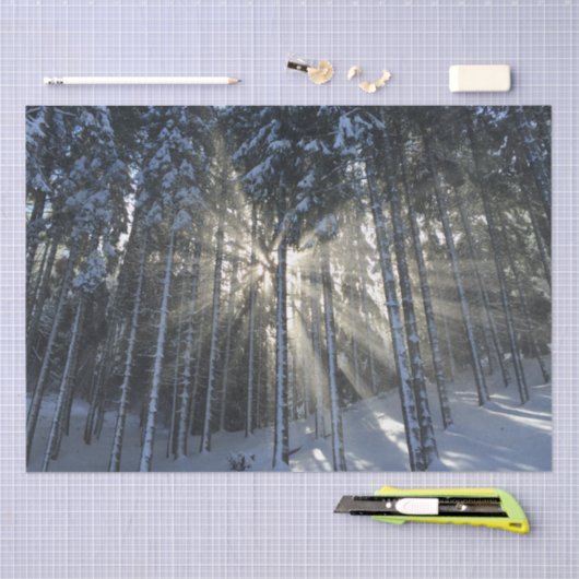 Zonnestralen door wintersneeuwbos tissuepapier (Craft)