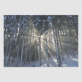 Zonnestralen door wintersneeuwbos tissuepapier (Voorkant)