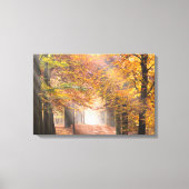 Zonnestralen in een herfst bos canvas afdruk (Voorkant)