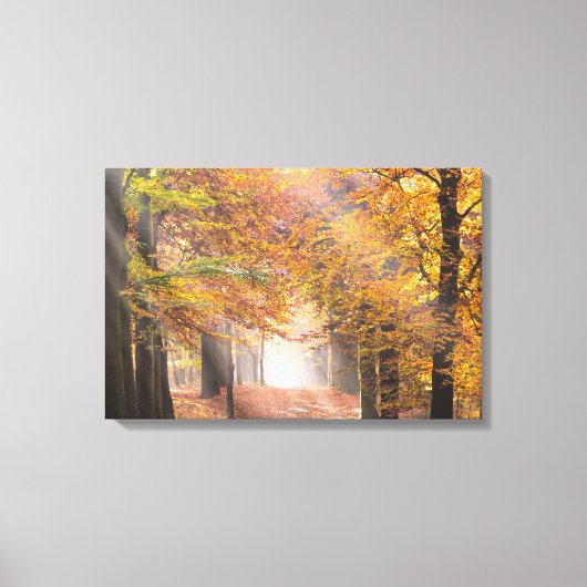 Zonnestralen in een herfst bos canvas afdruk (Voorkant)