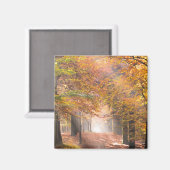 Zonnestralen in een herfst bos magneet (Voorkant / Achterkant)
