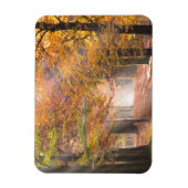 Zonnestralen in een herfst bos rechthoekige magnee magneet (Verticaal)