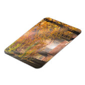 Zonnestralen in een herfst bos rechthoekige magnee magneet (Linkerzijde)