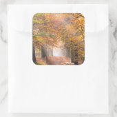 Zonnestralen in een herfst bos sticker (Tas)