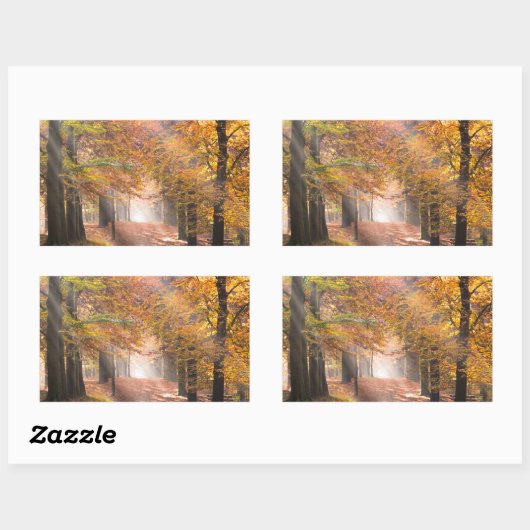 Zonnestralen in een herfstbos rechthoekige sticker (Vel)