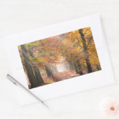 Zonnestralen in een herfstbos rechthoekige sticker (Envelop)