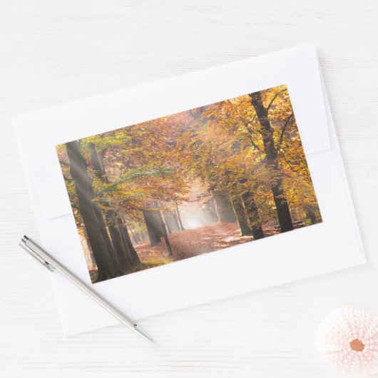 Zonnestralen in een herfstbos rechthoekige sticker (Envelop)