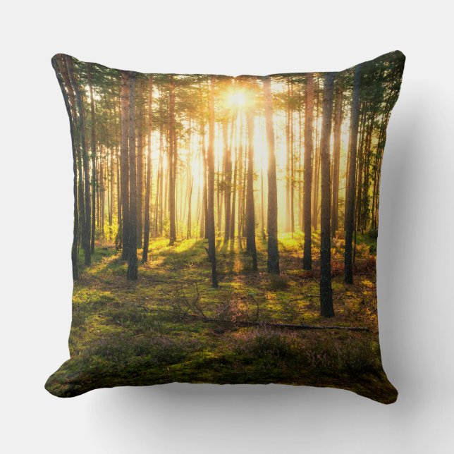 Zonnestralen in het dennenbos kussen (Voorkant)