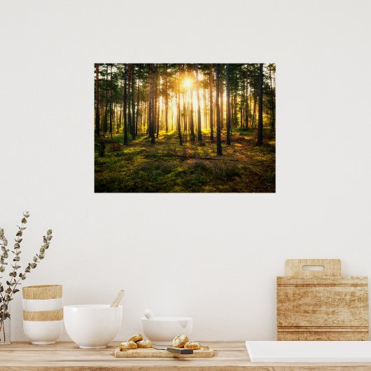 Zonnestralen in het dennenbos poster (Keuken)