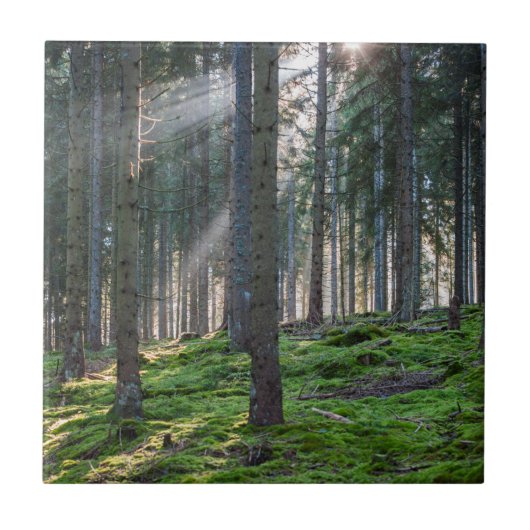 Zonnestralen in het Zwarte Woud Tegeltje (Voorkant)