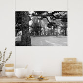 Zonnestralen op Japanse tempelpoort Poster (Keuken)