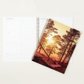 Zonnestralen over houten pad in dennenbos planner (Display)