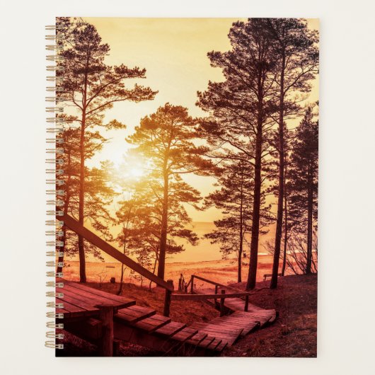 Zonnestralen over houten pad in dennenbos planner (Voorkant)