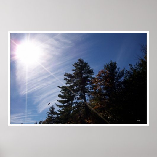 zonnestralen poster (Voorkant)