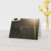 Zonnestralen van Hemel - het Wenskaart van de Foto Kaart (Gele Bloem)