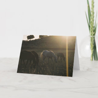 Zonnestralen van Hemel - het Wenskaart van de Foto Kaart