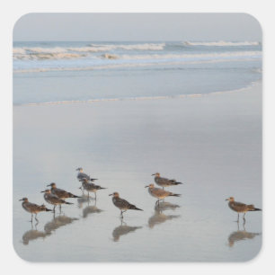 Zonnestrand Fotografie vogelkudde langs de oceaan Vierkante Sticker
