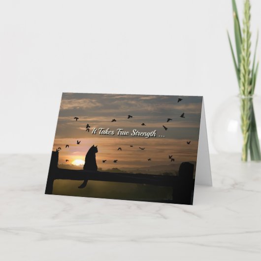 Zonnesympathie Cat in slaap-Kaart Kaart (Voorkant)