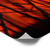 Zonnetijd achter de bamboe poster (Hoek)