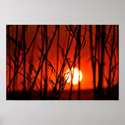 Zonnetijd achter de bamboe poster (Voorkant)