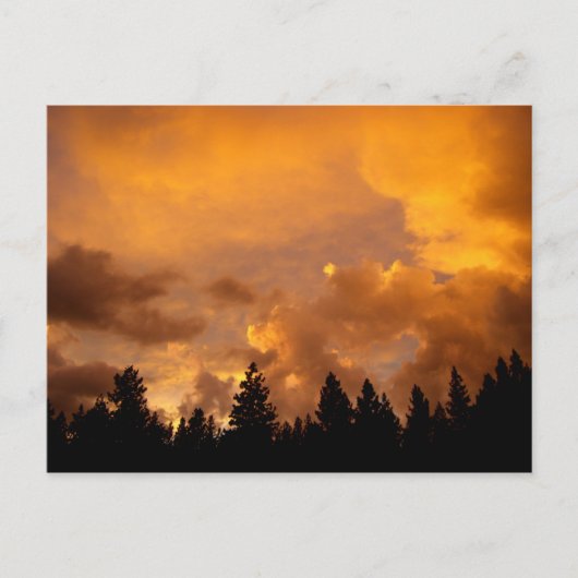 Zonnetijd in de Sierras - Briefkaart (Voorkant)