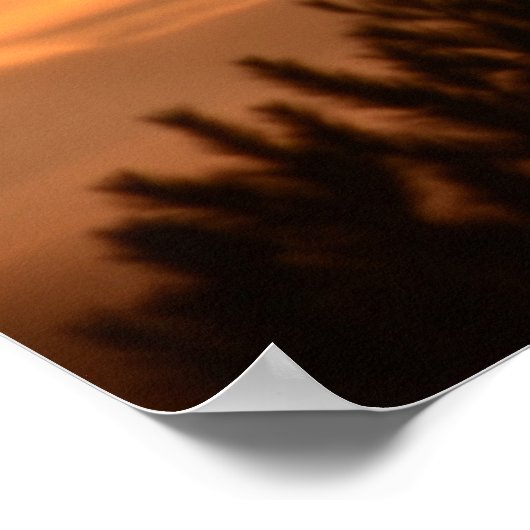 Zonnetijd in het Poster van de bossen (Hoek)