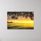 Zonnetijd in landschap canvas afdruk (Voorkant)