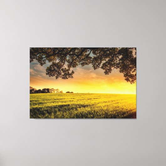 Zonnetijd in landschap canvas afdruk (Voorkant)