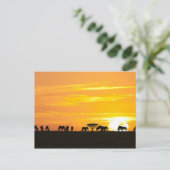 Zonnetijd in Serengeti Briefkaart (Staand voorkant)