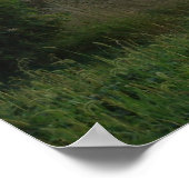 Zonnetijd op de Barn Poster (Hoek)