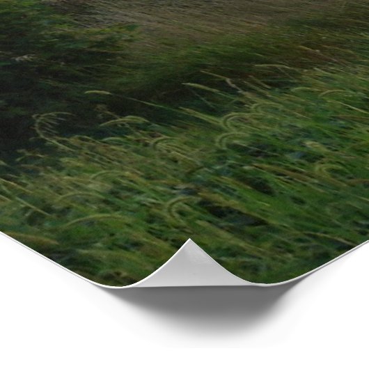 Zonnetijd op de Barn Poster (Hoek)