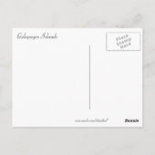 Zonnetijd op de Galapagos-eilanden Briefkaart (Achterkant)