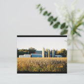 Zonnetijd op het Boerderij Briefkaart (Staand voorkant)