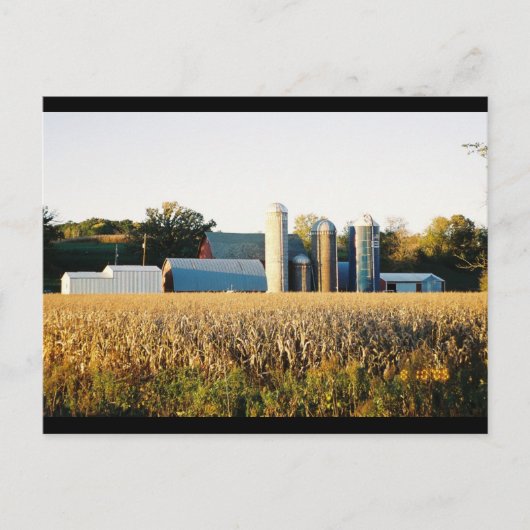 Zonnetijd op het Boerderij Briefkaart (Voorkant)