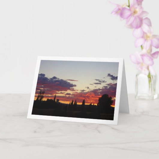 Zonnetijd rond de boom Silhouette Kaart (Orchidee)