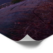 Zonnetijd van Beer Mountain NY Poster (Hoek)