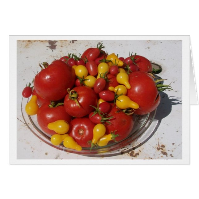Zonnetuin Collectie ~ Tomaten (Voorkant Horizontaal)