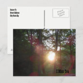 Zonnevaste Bossen die ik u mis Briefkaart (Voorkant / Achterkant)